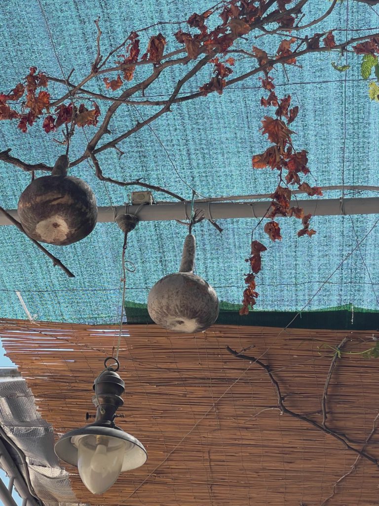 Woven Deck Screen