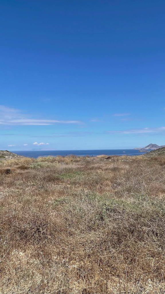 Sea Horizon, Dry Grass