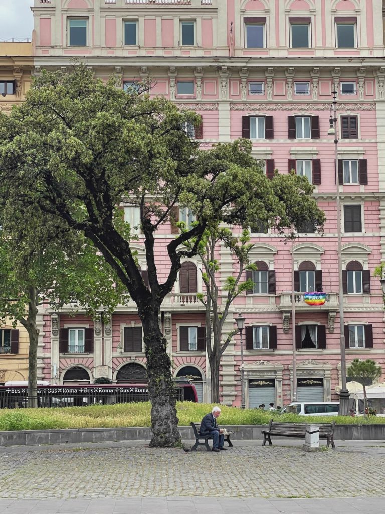 Plaza Under The Tree
