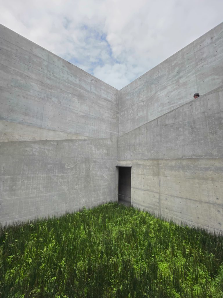 Grass Seam In Concrete