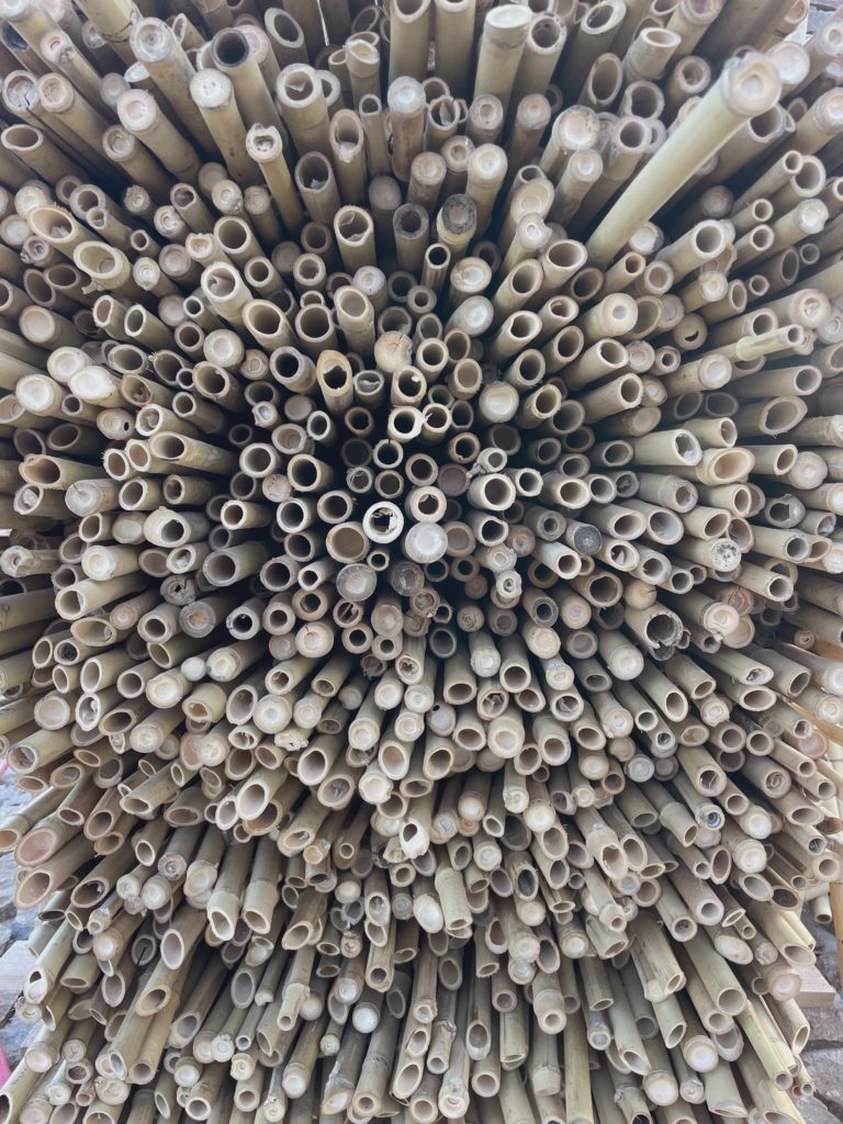 Cluster Of Ceramic Spikes