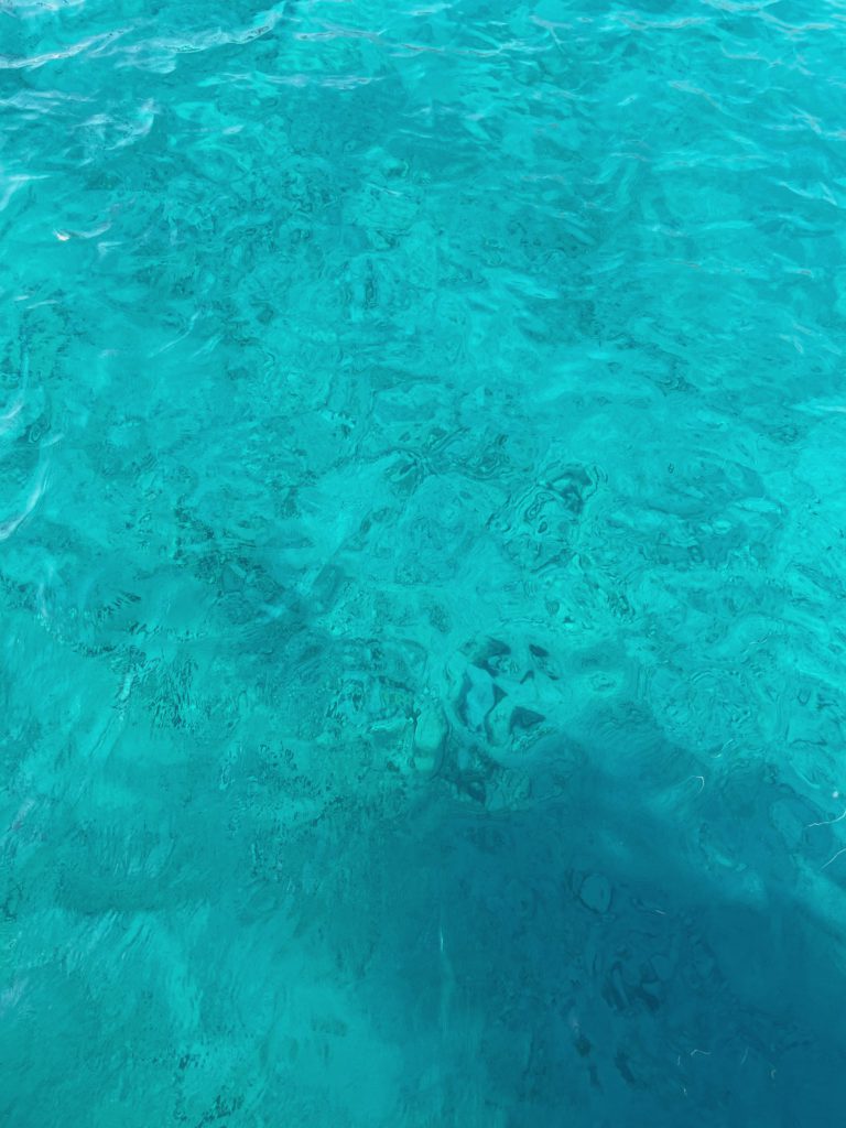 Turquoise Sea Study