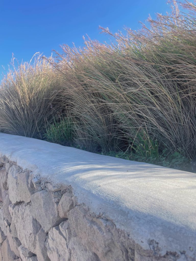 Dry Grass, Stone Wall