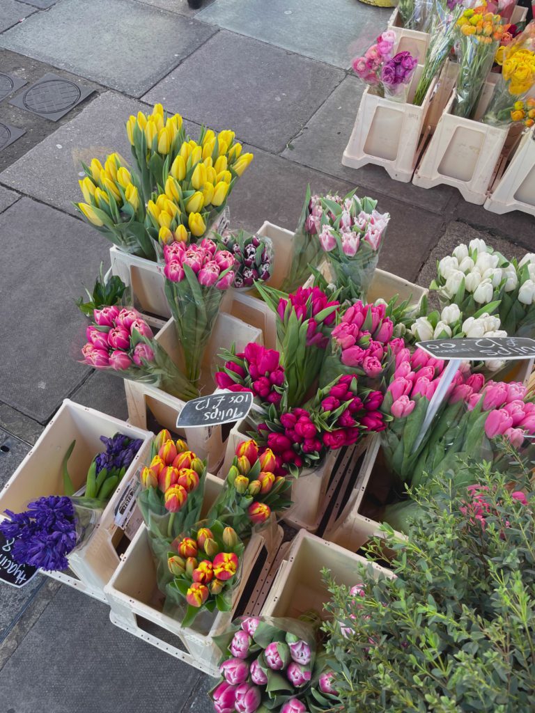 Flower Market Palette