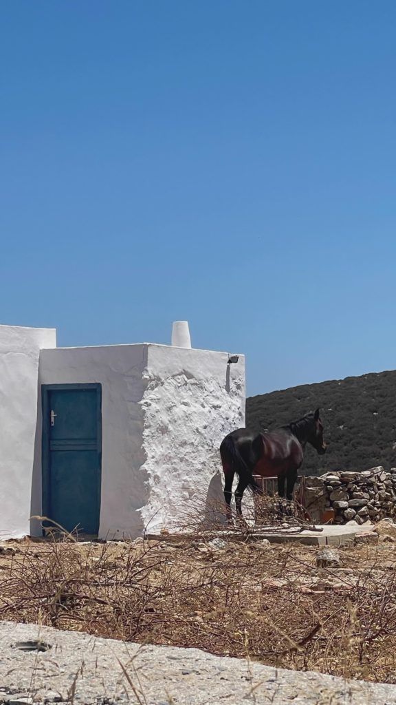 Cycladic Doorway With Horse