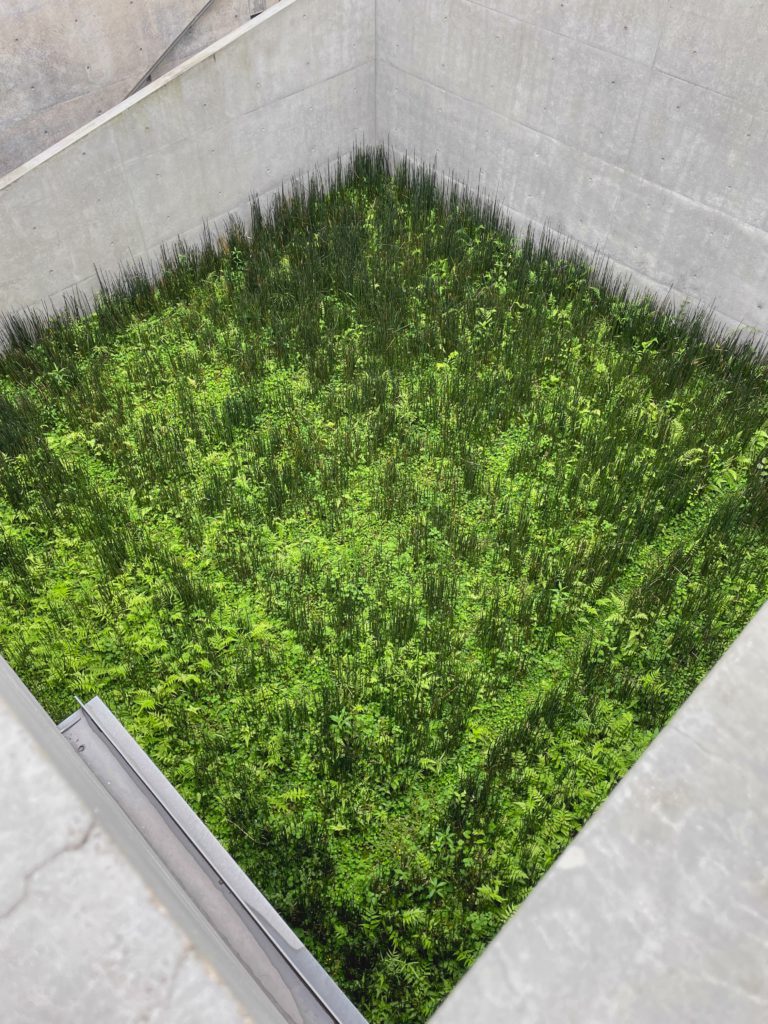 Courtyard Green Well