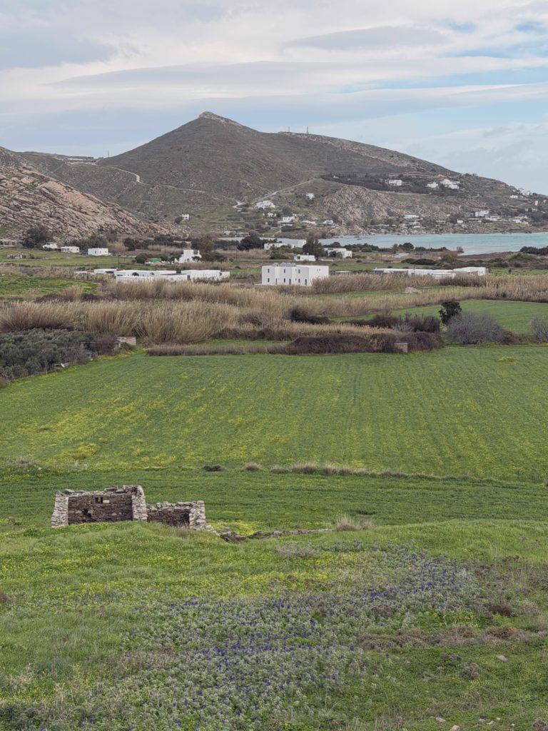 Field And Weathered Stone House