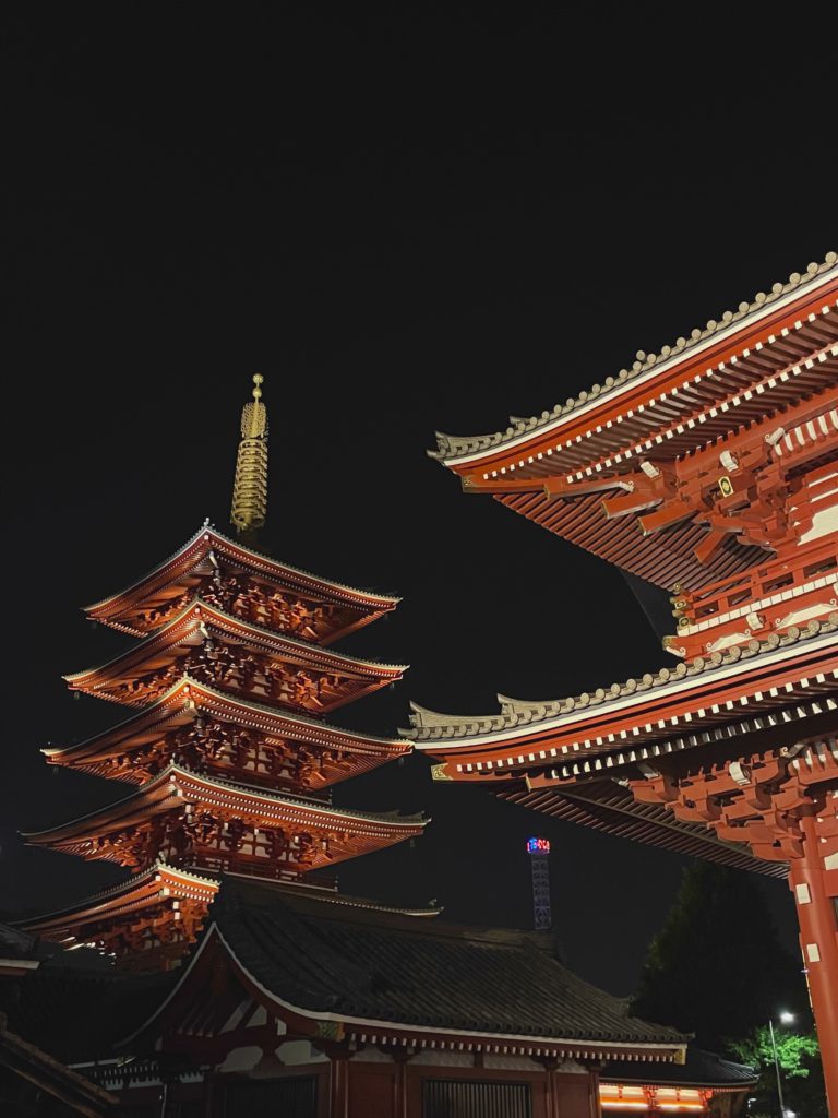 Pagoda After Dark