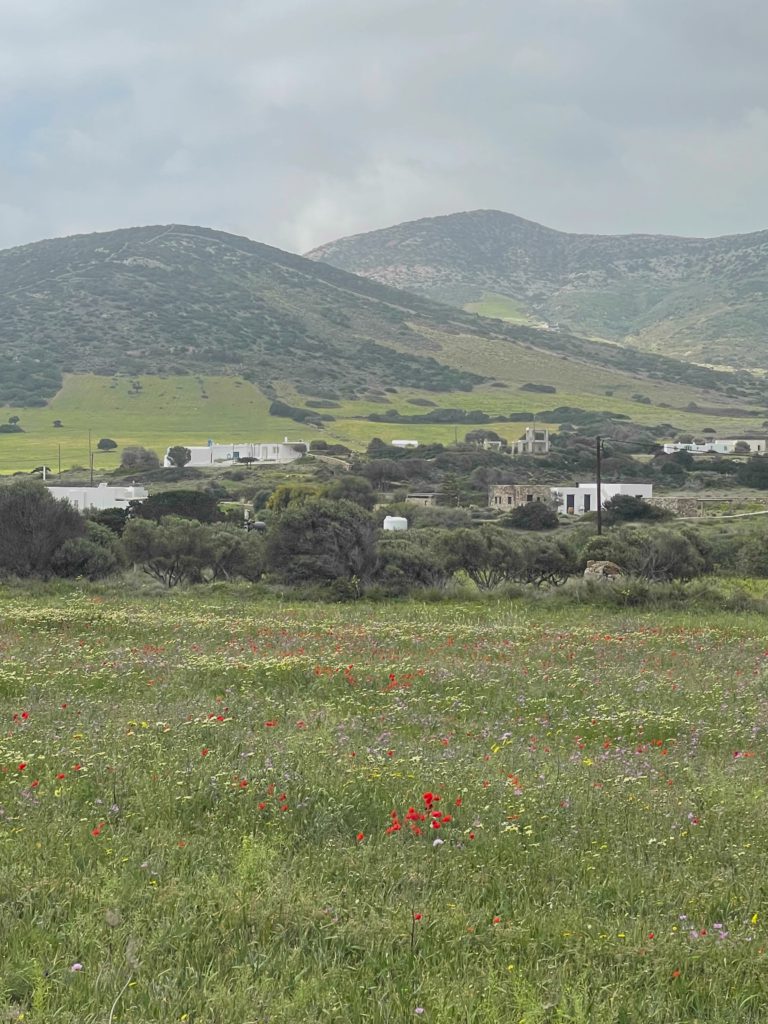 Village On The Green Hillside