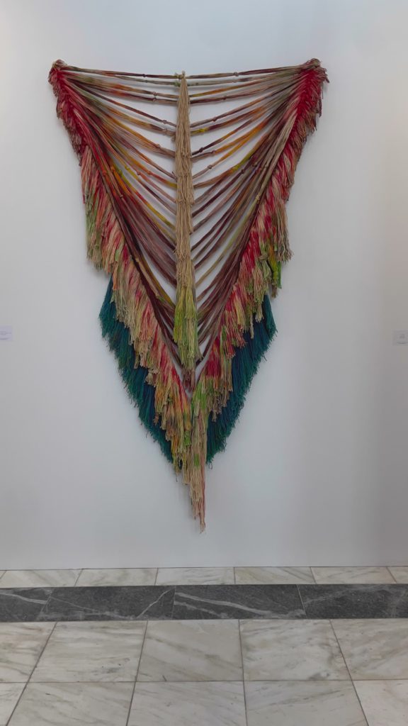 Woven Fringe Wall Hanging