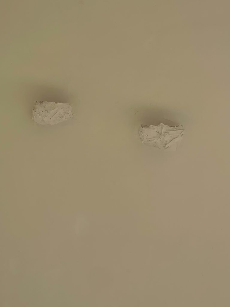 Wall Sculpture Pair