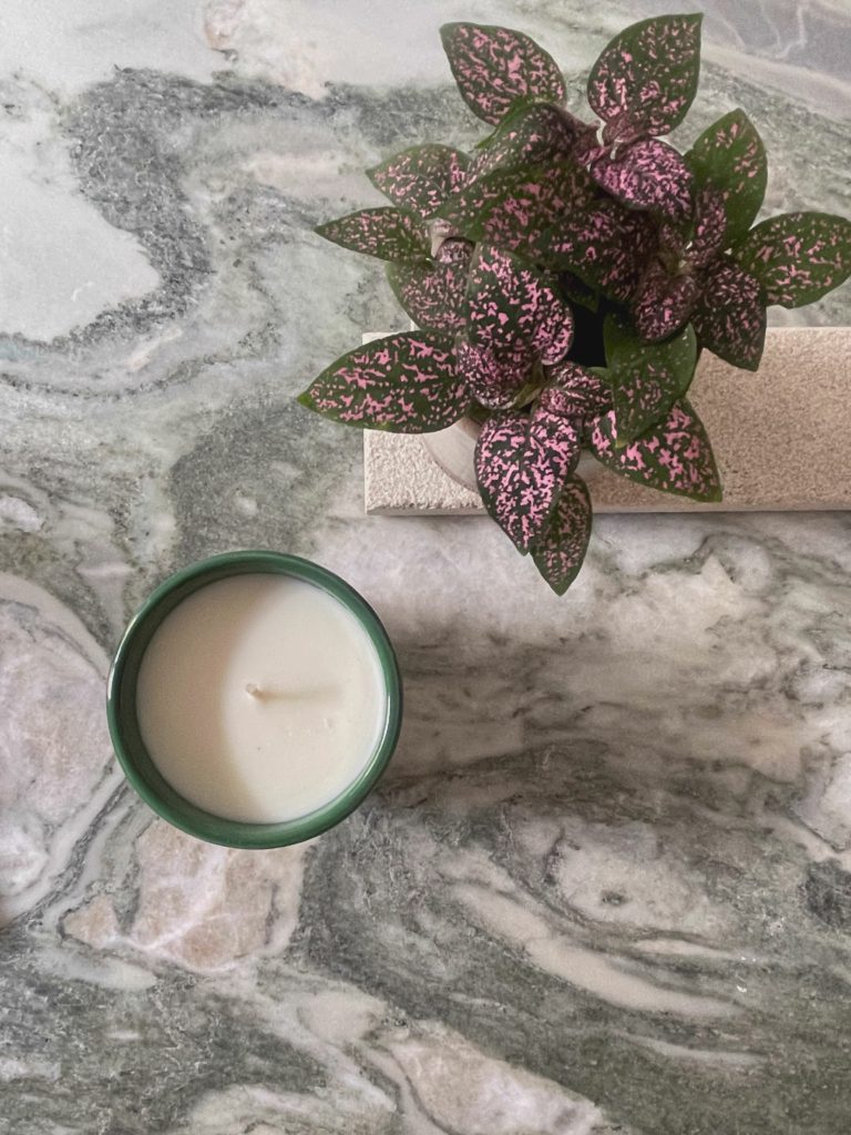 Marble Ledge, Potted Plant