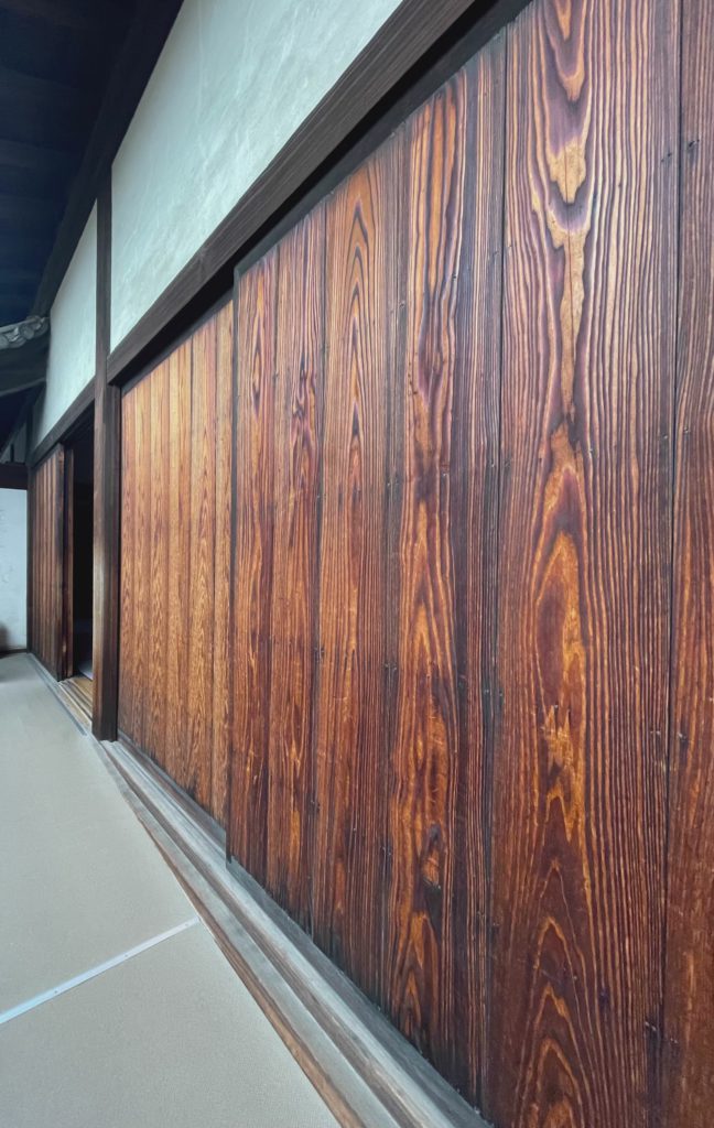 Dark Timber Corridor