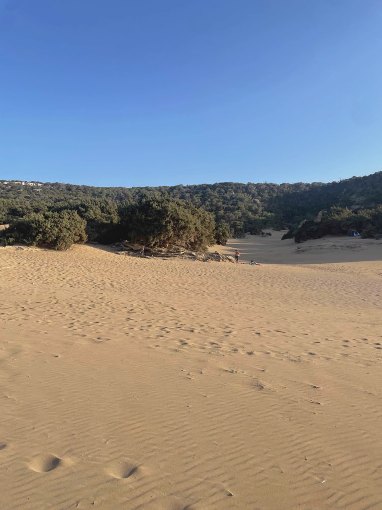 Dune Against The Sky