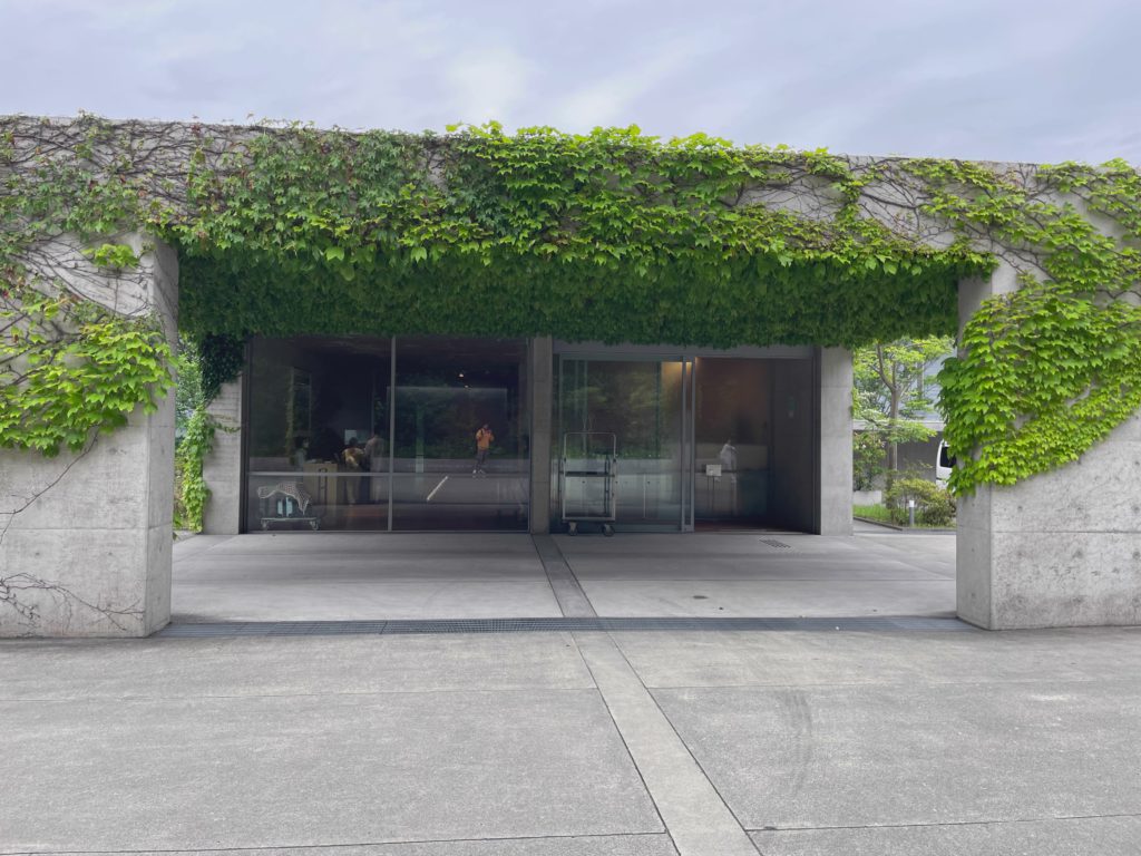 Ivy-Clad Entrance