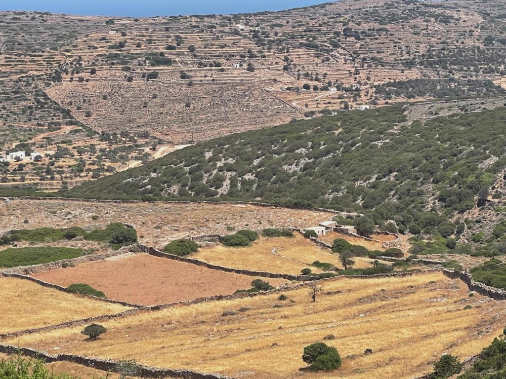 Patchwork Hillside Fields