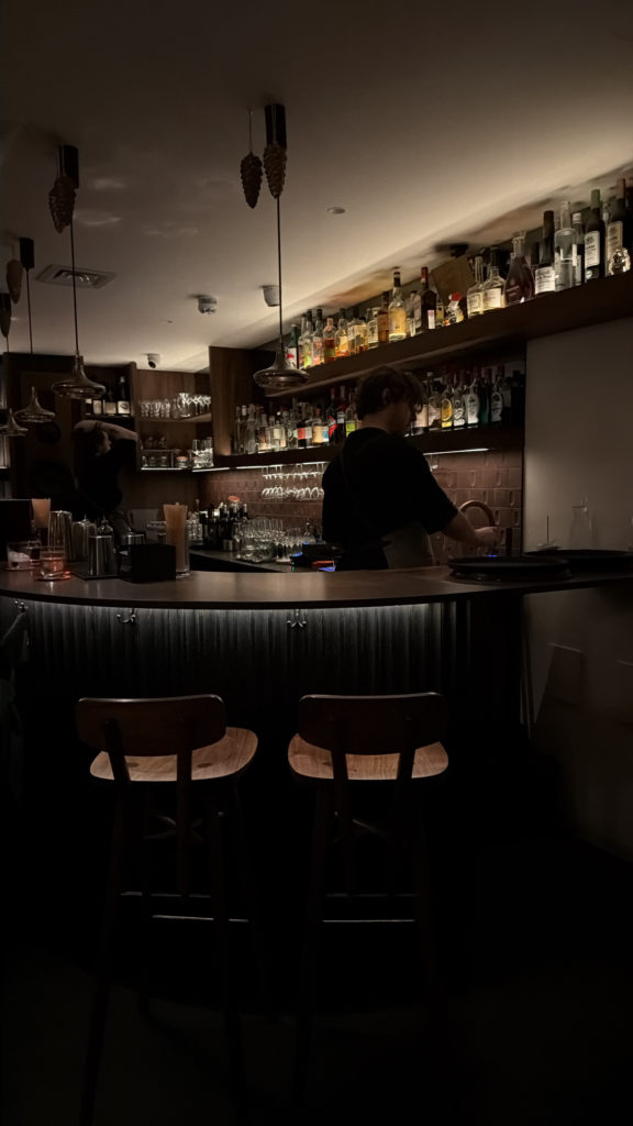 Dim-Lit Bar Interior