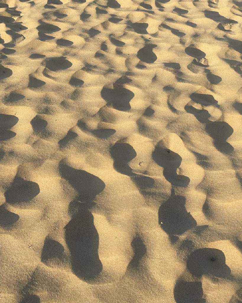 Footprints In The Dune