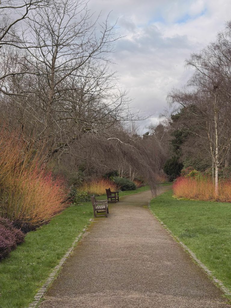Autumn Park Path