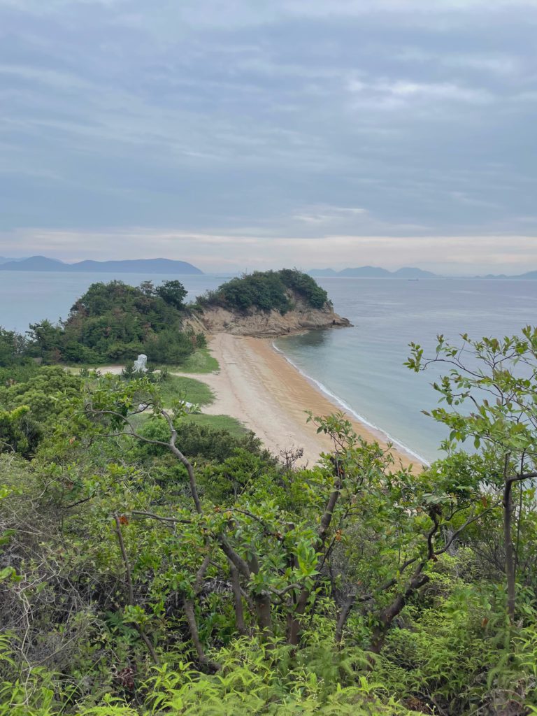 Bay View From The Headland